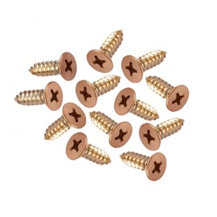 Copper Wood Screws 12 Set for 20mm Partition 